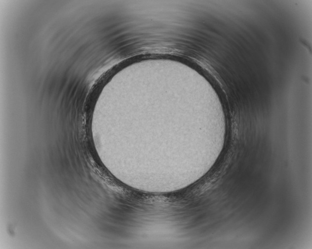 X0000099540971200806131145