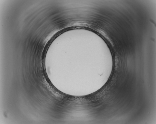 X0000099540972200806131145