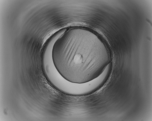 X0000099540973200806131145