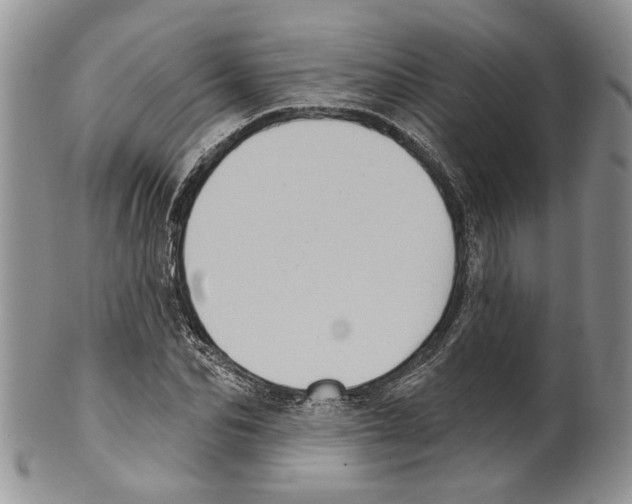 X0000099540974200806131145