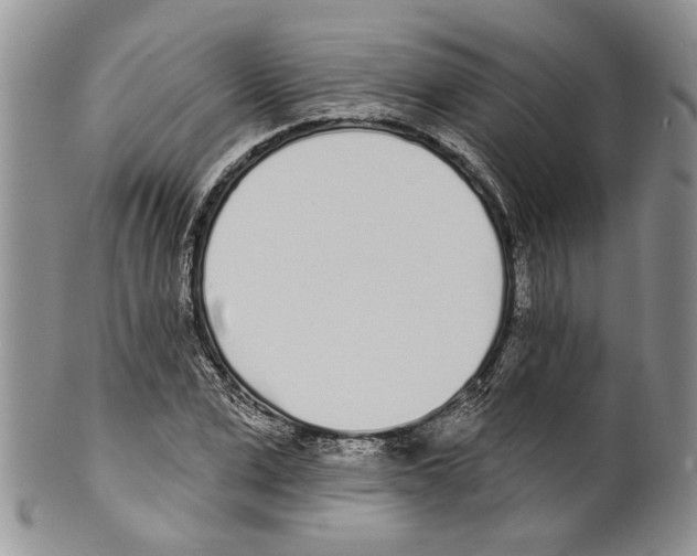 X0000099540975200806131145