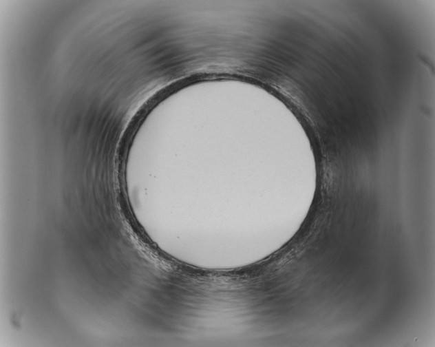 X0000099540976200806131145