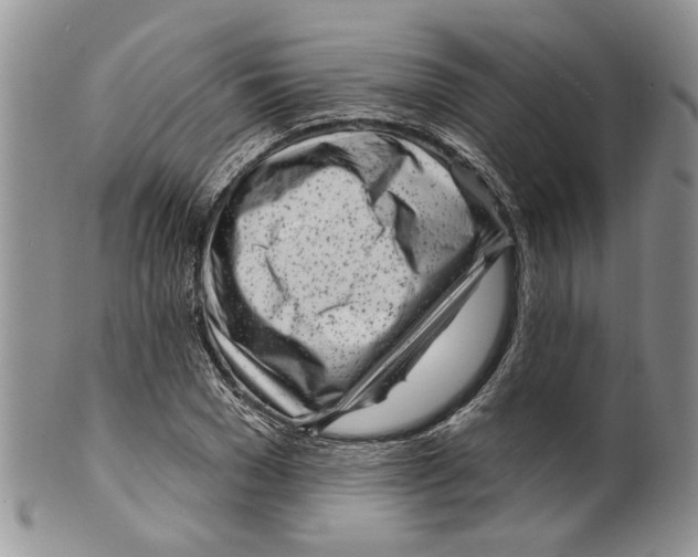 X0000099540977200806131145