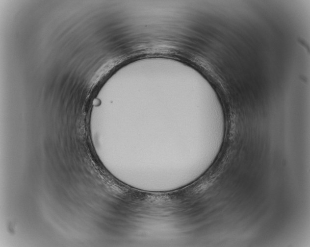 X0000099540978200806131145