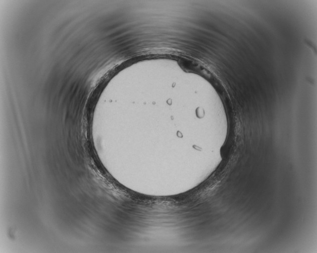 X0000099540979200806131145