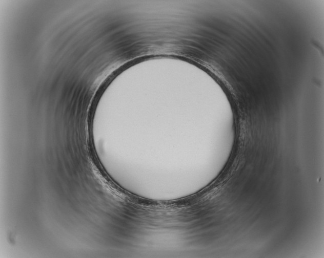 X0000099540980200806131145