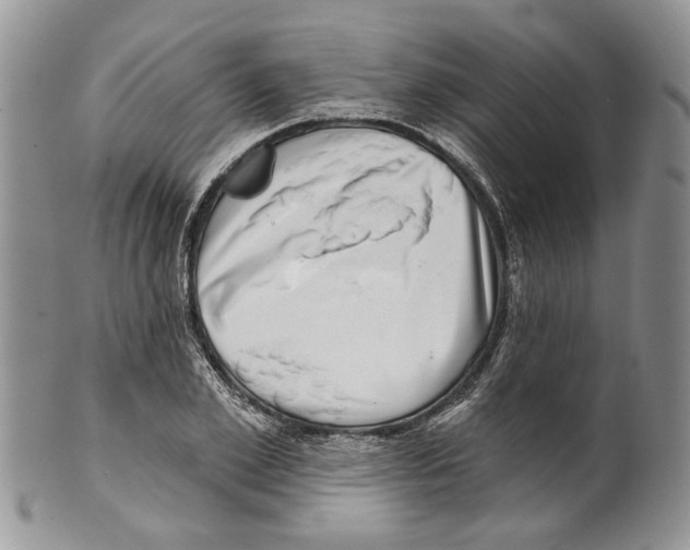 X0000099540981200806131145