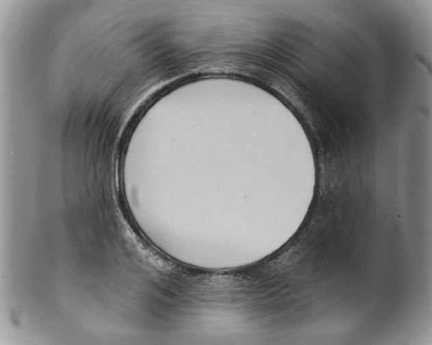 X0000099540984200806131145