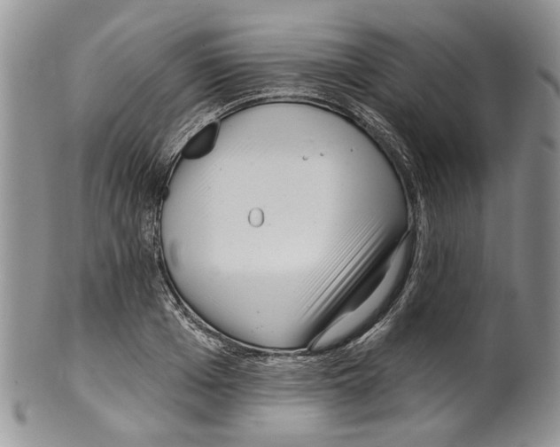 X0000099540985200806131145