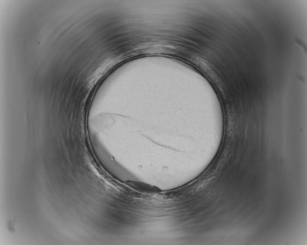 X0000099540986200806131145