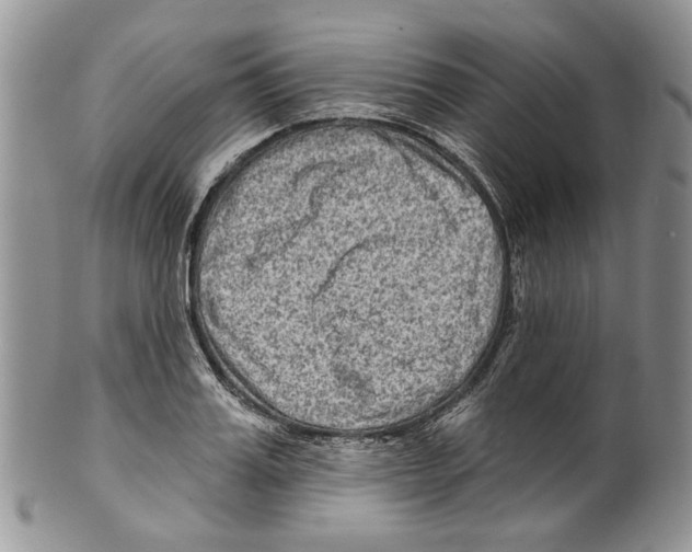 X0000099540987200806131145