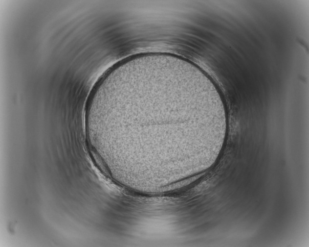 X0000099540988200806131145