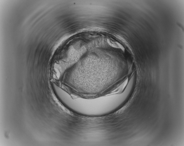 X0000099540989200806131145