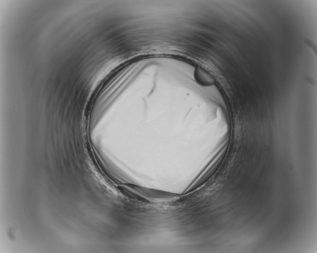 X0000099540990200806131145