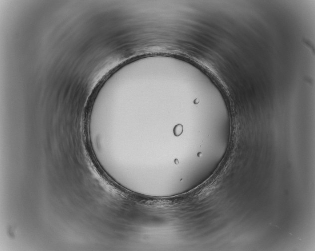 X0000099540991200806131145