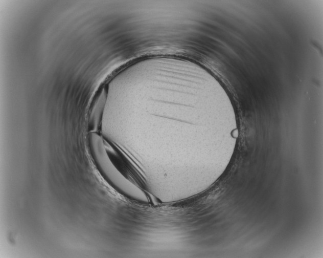 X0000099540992200806131145