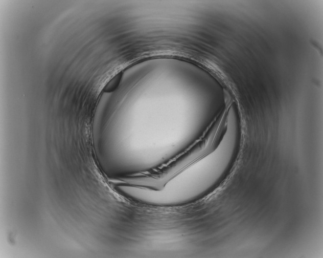 X0000099540993200806131145