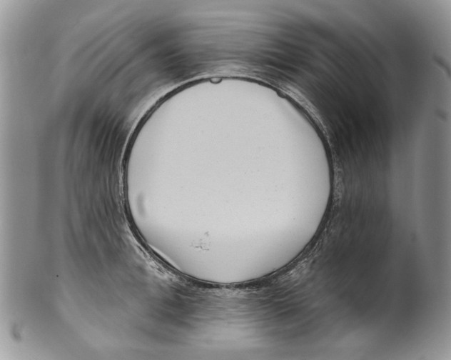 X0000099540996200806131145