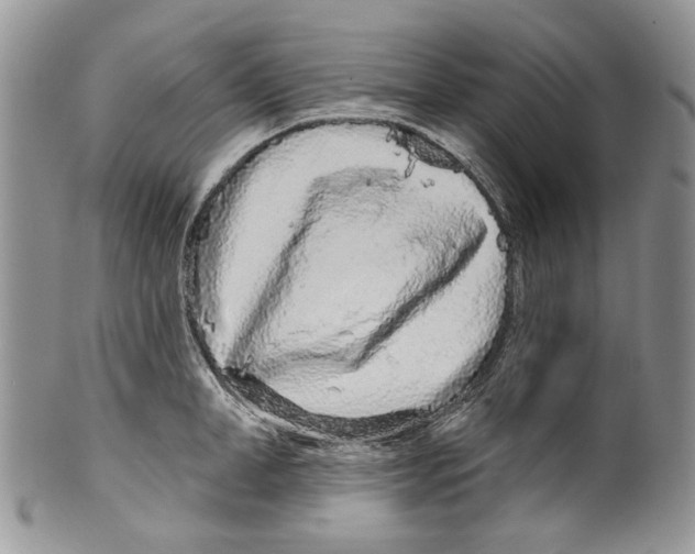 X0000099540998200806131145