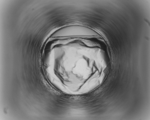 X0000099541000200806131145