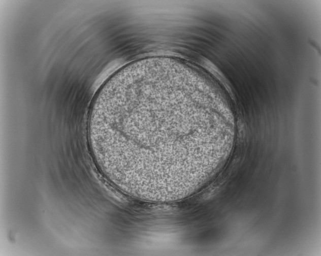 X0000099541002200806131145