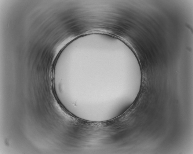 X0000099541003200806131145