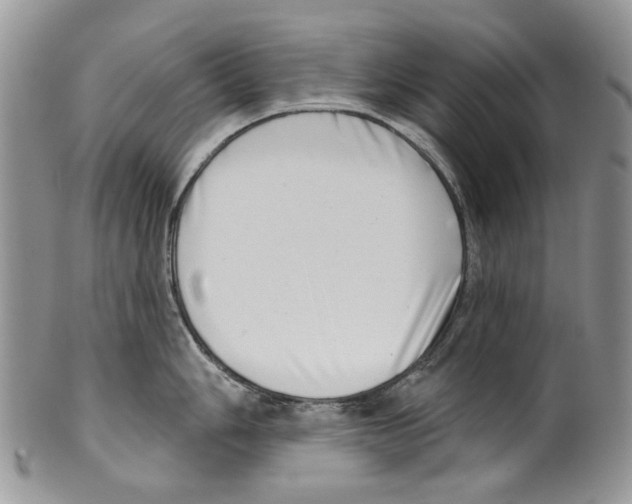 X0000099541006200806131145