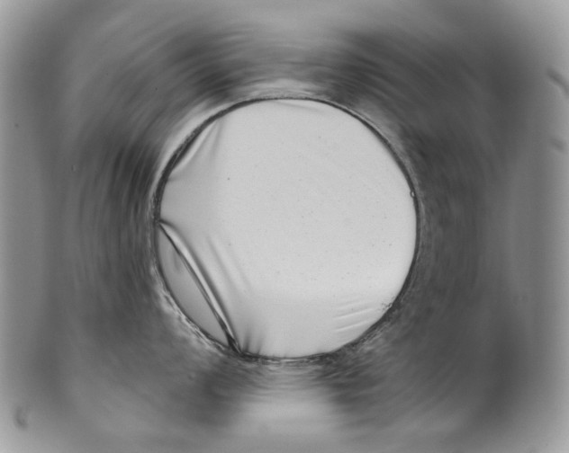 X0000099541008200806131145