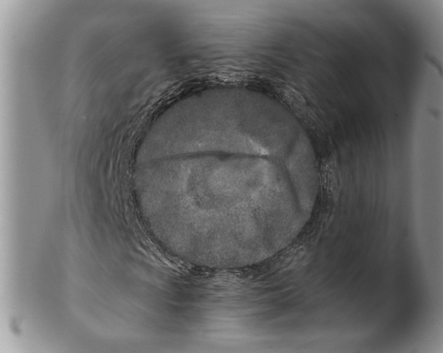 X0000099541009200806131144