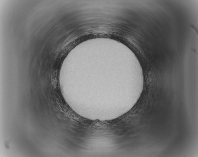 X0000099541015200806131144