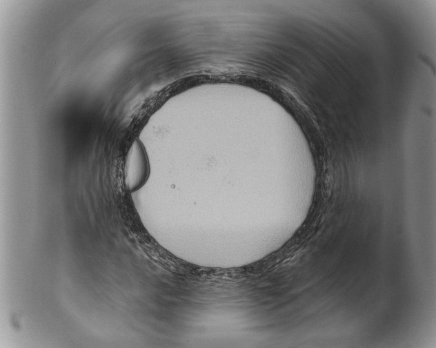 X0000099541016200806131144