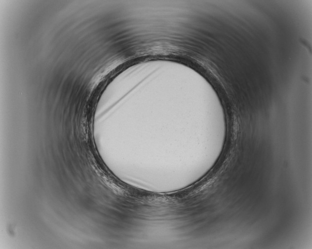 X0000099541018200806131144