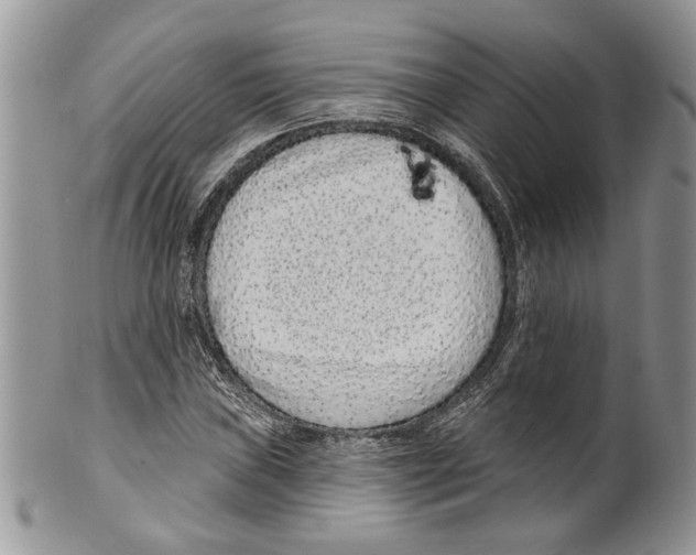 X0000099541019200806131144