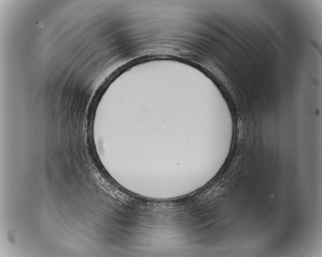 X0000099541020200806131144