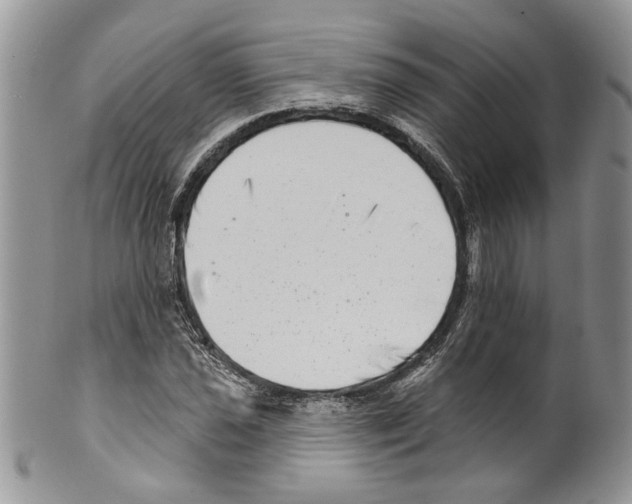 X0000099541021200806131144