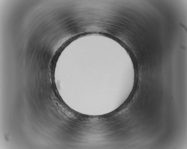 X0000099541022200806131144