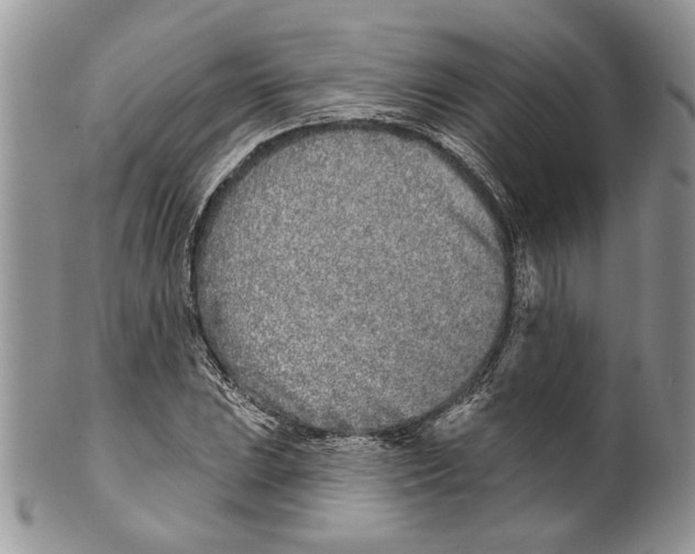 X0000099541023200806131144