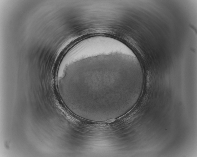 X0000099541024200806131144