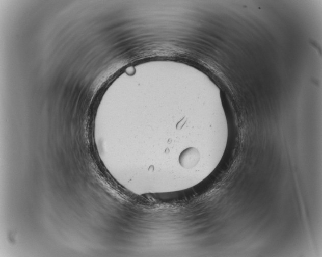 X0000099541026200806131144