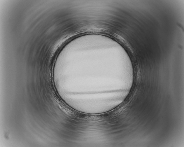 X0000099541027200806131144