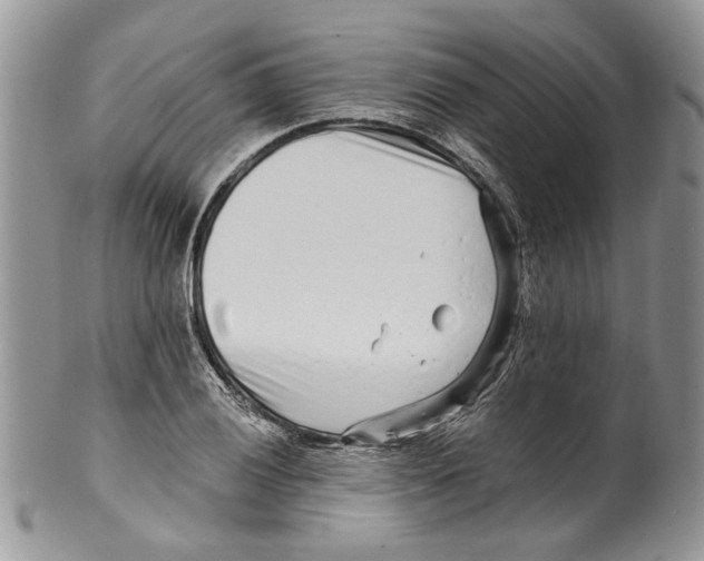 X0000099541028200806131144