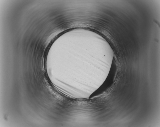 X0000099541030200806131144