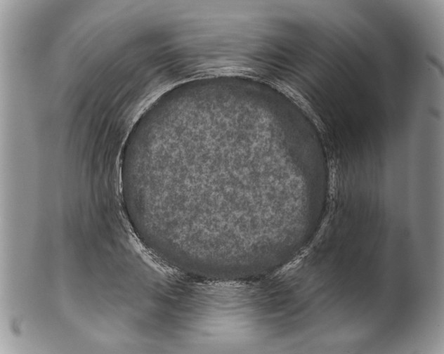 X0000099541031200806131144