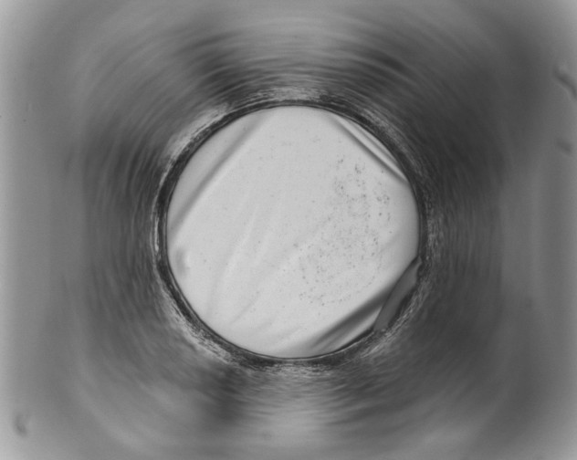 X0000099541034200806131144