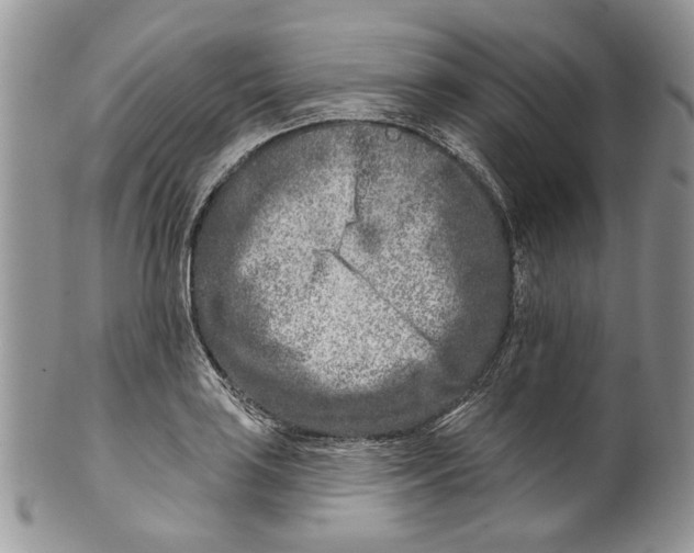 X0000099541035200806131144