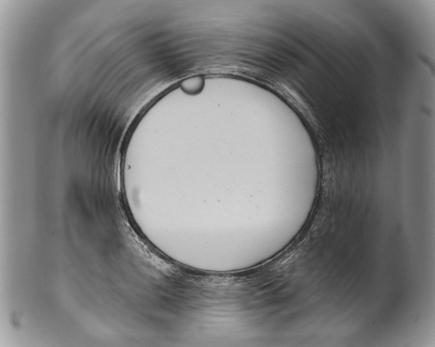 X0000099541036200806131144