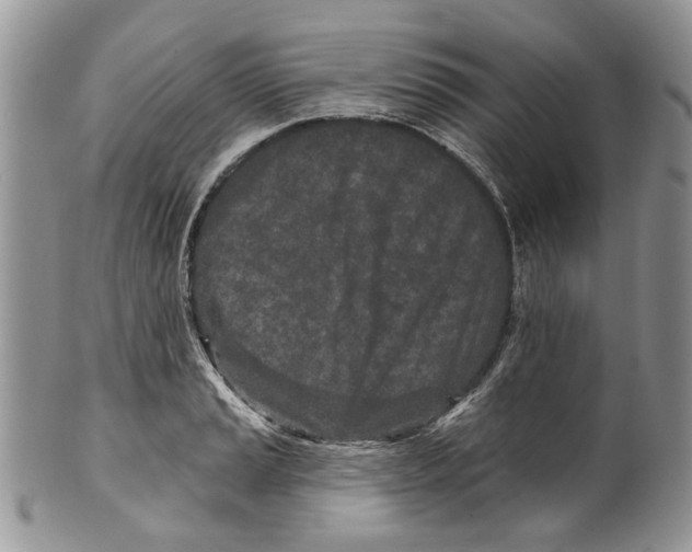 X0000099541037200806131144