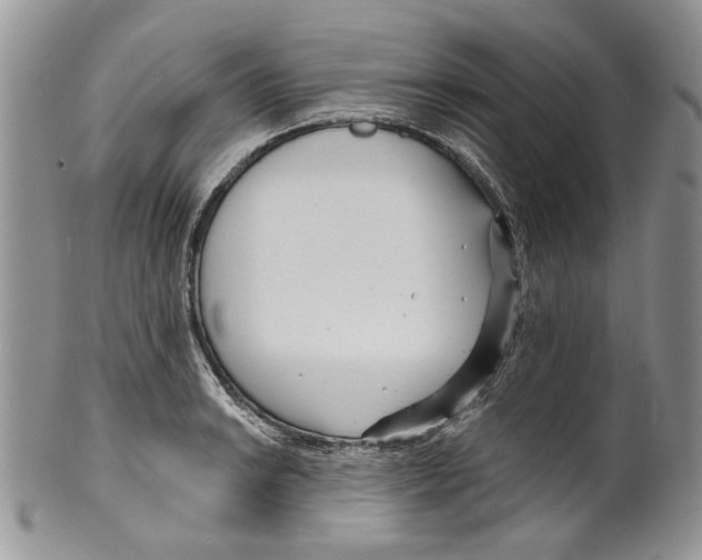 X0000099541038200806131144