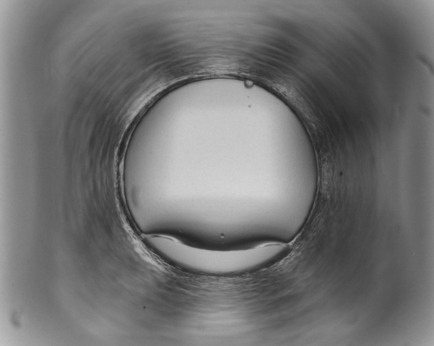 X0000099541039200806131144