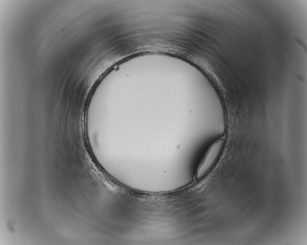 X0000099541040200806131145